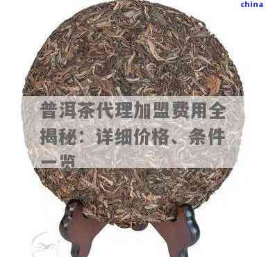 探索州普洱茶 官方联系、优选代理与销售全攻略