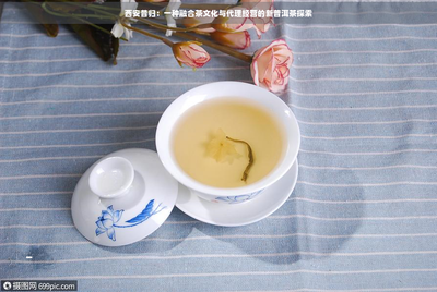 西安昔归 当古都风骨邂逅普洱醇香，探索茶文化与代理经营的新融合
