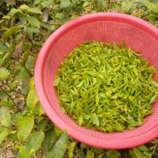 久和顺茶叶加盟 开启茶叶代理与销售事业的新篇章