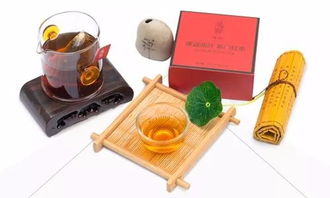 茶韵新篇，共绘未来 上海唐卡茶鐏国茶研究院战略合作，诚邀经销商携手同行