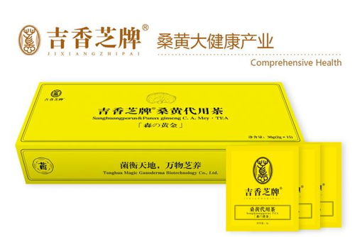 桑黄茶全国区域代理商招募 诚邀合作伙伴，共享健康茶饮蓝海市场